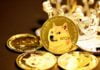 Has shiba inu burned any coins?