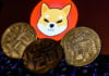 Is A Shiba Inu Coin Good Investment?