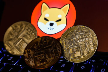Is A Shiba Inu Coin Good Investment?
